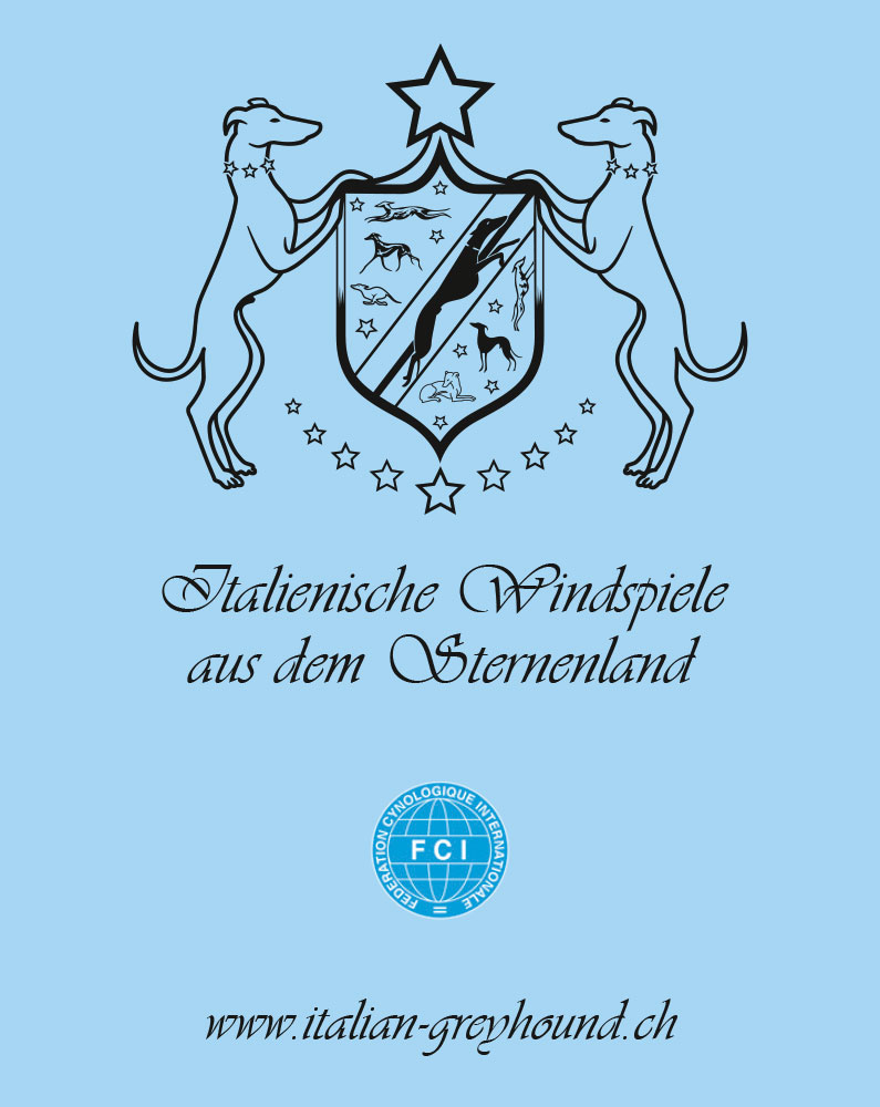 Logo digital nachzeichen